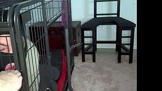 Foot Fetish porn vids from Amateur Trampling