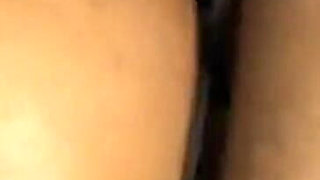 Chubby House Maid Give Her Master the Best Dick Ride in Reverse Cowgirl Position and Take Doggy.