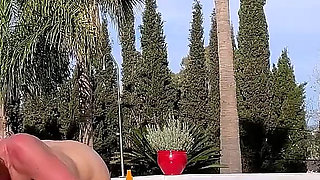 In the Sun by the Pool Having Holiday Sex