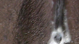 Petite ebony maid fucked and creampied in the kitchen