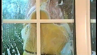 The Window Cleaner