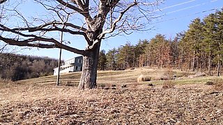 Ebony sucking dick smut with perfect Don Whoe from Yung Dumb Sluts