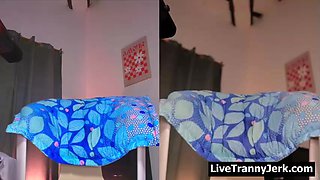 Shemale Cock Live 577