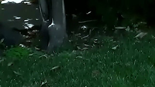 Outdoor Pussy Licking - Two Brunettes on a Purple Mat Under the Trees