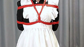 The Maid's Various Restraints