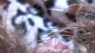 Hairy pussy is not an obstacle to clit play