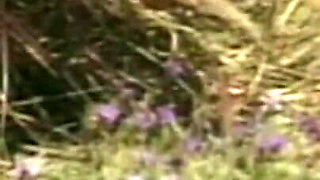 Autumn Haze & Sky Taylor Lesbians Eat Pink Dildo