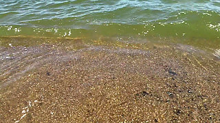 We Travel to the Beach of San Luis