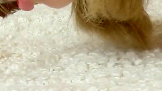 Horny skinny teen gets fucked in the ass by stepdad