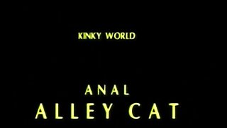 Brunette hardcore blowjob