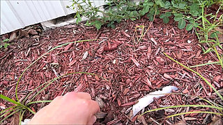 Hot Step Mom Makes You Get a Job - Brianna Beach - Mom Comes First