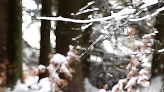 Winter Story