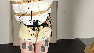 Limit Electric Shock and Voice-controlled Electric Shock Penalty Standing