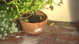 Longhaired lover fuck his wife in his own house