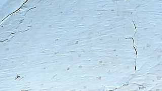 Walking up and Down Stairs