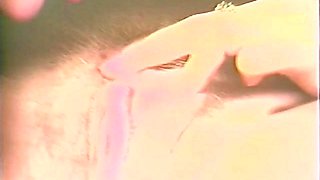 Lingerie Fantasies (USA 1988, Lesbian, Britt Morgan, Megan Leigh) - Morgan leigh