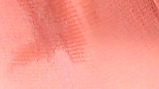 4503619