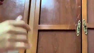 Close up fuck and cumshot