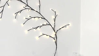 Homemade Interracial Creampie