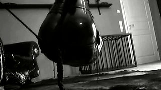 Dominate 0299