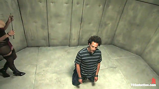 The Interrogation