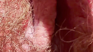 An Extreme Close-up of the Creamiest Pussy