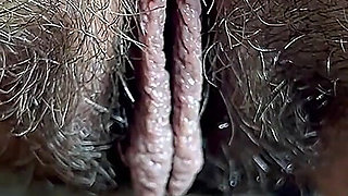 Wipe My Little Hairy, Dirty Girls