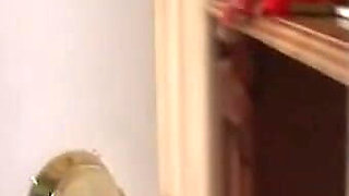 Nasty Brunette Hot Big Black Cock Fuck Vol 6