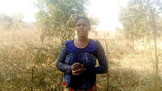 forest  in bush