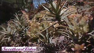 Busty Lesbian Milf Eats Out Lil With Alexis Fawx And Cecilia Lion