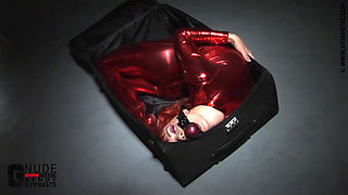 Surprise in the Suitcase