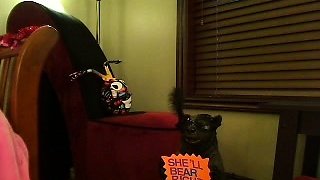 Big boob brunette masturbates on webcam