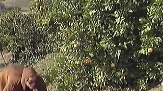 Raven Richards, Eric Price And Lauren Brice - All The Way