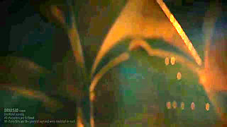 Cartoon sex video game and video how