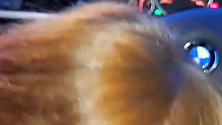 Risky BBC Blowjob in the Car