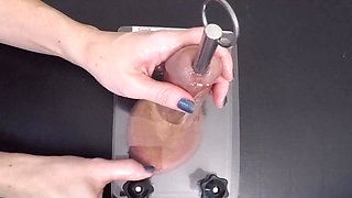 Clearing the Urethra Results in Copious Sperm Flow