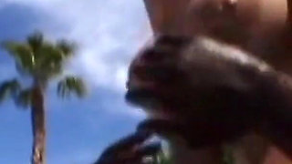 Blondes in Black Scene-1 Busty Blonde in Bikini Fucking in the Pool in Interracial Sex