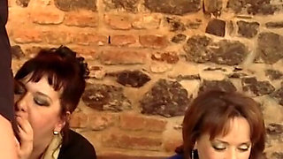 Three Woman Having Groupsex with One Toyboy