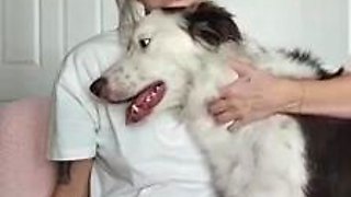 Xoxoitsriah tt live poon glide