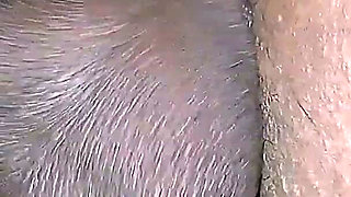 Bent Over the Sofa BBC Deep Doggy Pounding