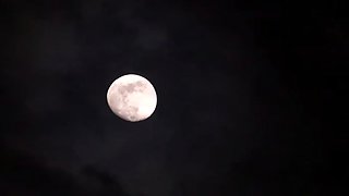 MILF POV Big Cock Blowjob