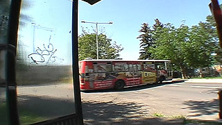 Bus Stop Encounter