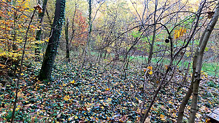 Pull up Your Shirt I Wanna Slap Your Tits