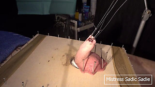 Hardcore CBT with Fishhooks and Needles Part One
