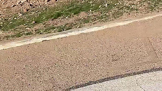 The Adventures of Lety Howl, Episode 12: Usa Road Trip