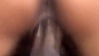 1.50 Tall for Black Wild Man