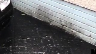 Webcam amateur teaing big boobs show