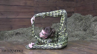 Flexible Spandex Beauty