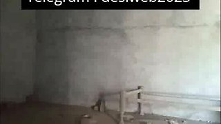 Desi Village duo viral mms ть