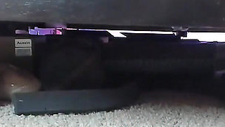 My Dry Feet Heels and Soles